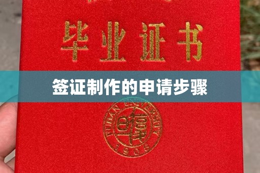 五华签证制作的申请步骤