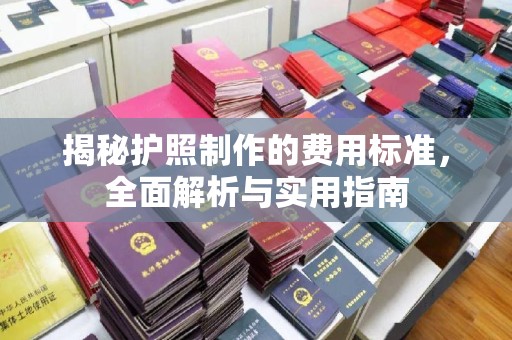 五华揭秘护照制作的费用标准，全面解析与实用指南
