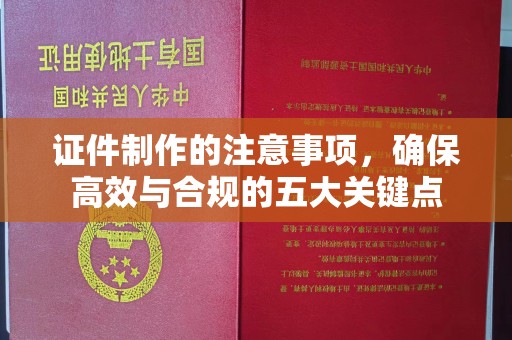 五华证件制作的注意事项，确保高效与合规的五大关键点