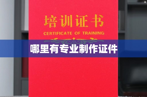 五华哪里有专业制作证件