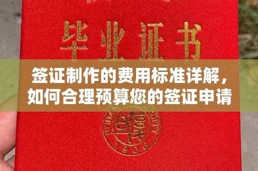 五华签证制作的费用标准详解，如何合理预算您的签证申请成本